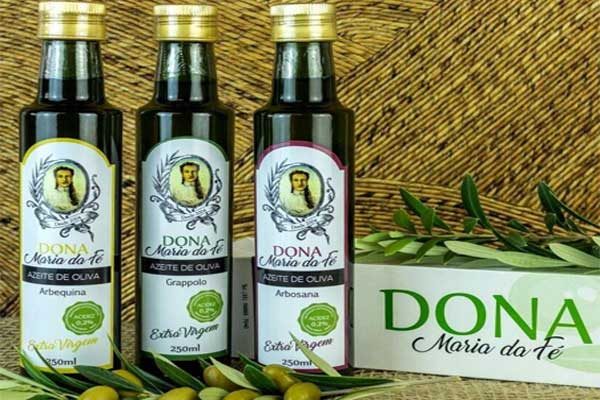 Azeite de oliva: Conheça o pioneiro no país e veja seus benefícios