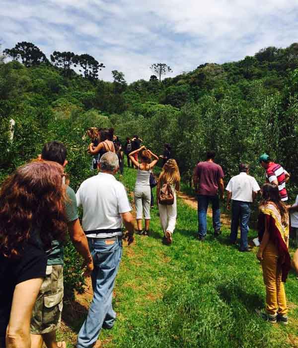 Turistas conhecendo produção do azeite organico