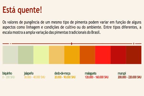 Escala de ardência de diferentes tipos de pimenta sendo a menos picante a pimenta biquinho e a mais picante a carolina reaper