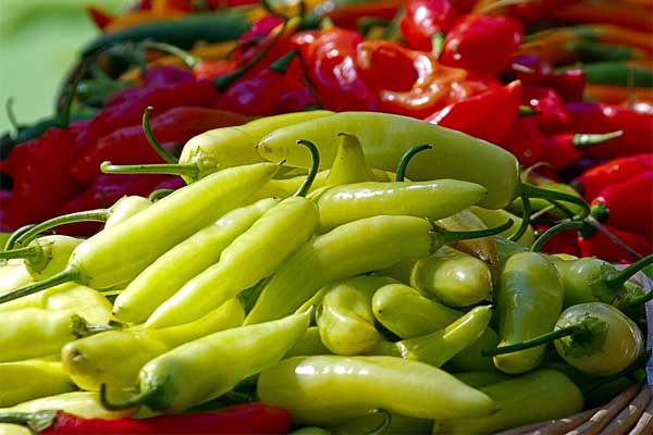 Tipos de pimenta verde e vermelha numa bancada de supermercado