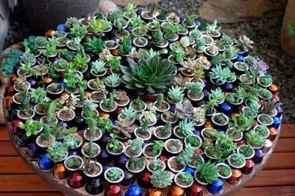 Jardim colorido montado com capsulas de cafe