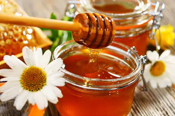 Pote de mel puro com uma flor ao lado