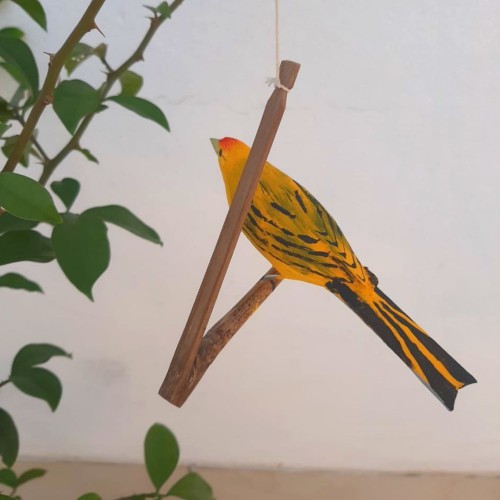 Pássaro de Madeira Canário da Terra