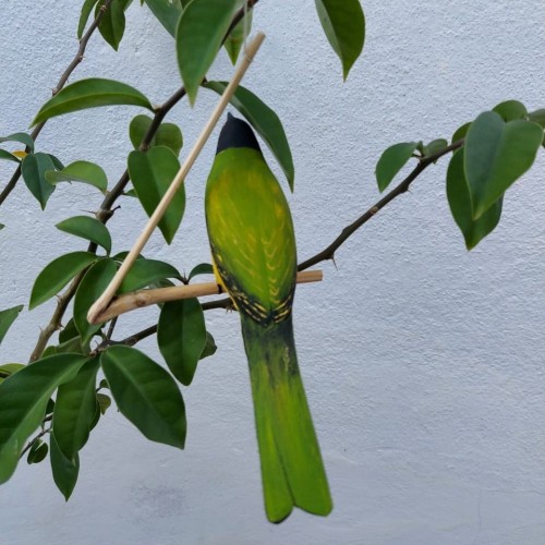 Pássaro de Madeira Sabiá Pimenta