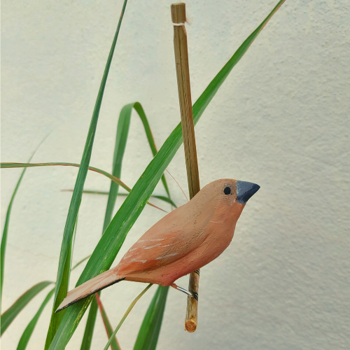 Pássaro de Madeira Curió Fêmea