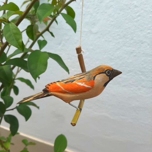 Pássaro de Madeira Pardal