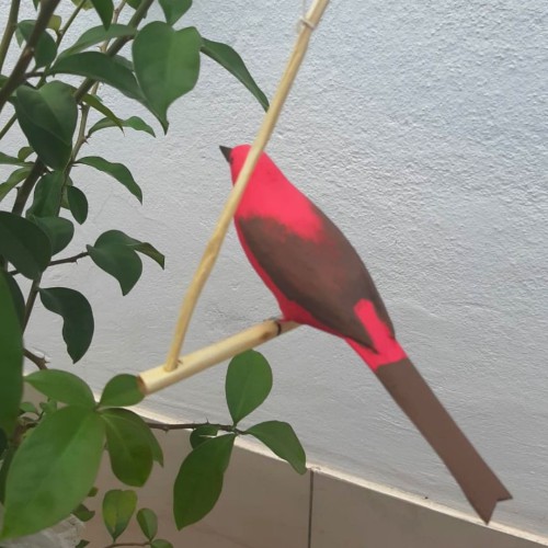 Pássaro de Madeira Rosa