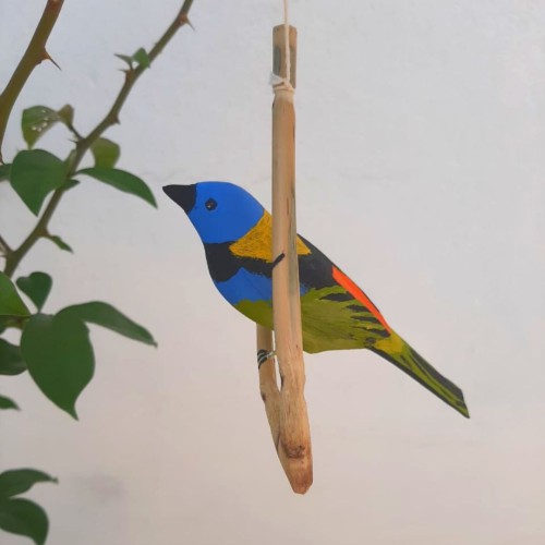 Pássaro de Madeira Saíra Sete Cores