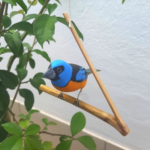 Pássaro de Madeira Sanhaço Papa-Laranja