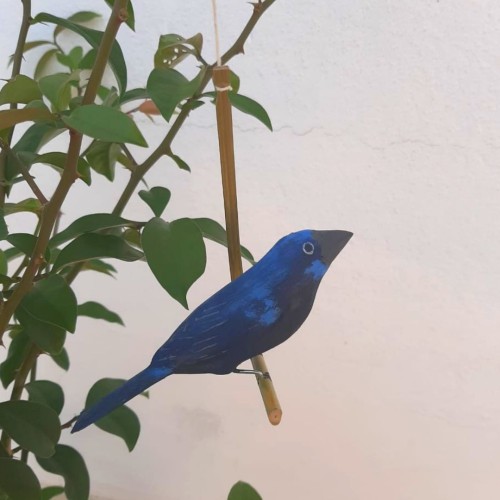 Pássaro de Madeira Azulão