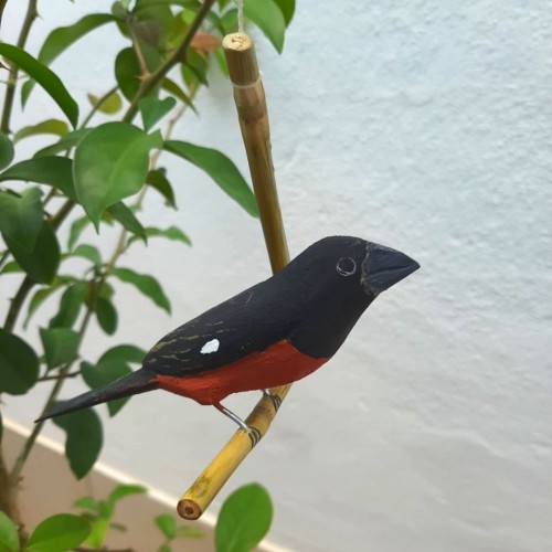 Pássaro de Madeira Curió