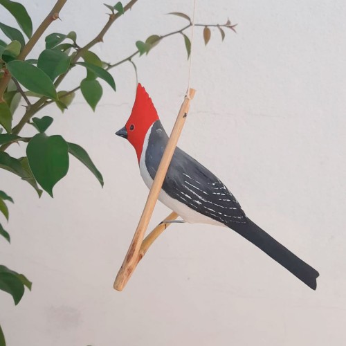 Pássaro de Madeira Cardeal do Sul