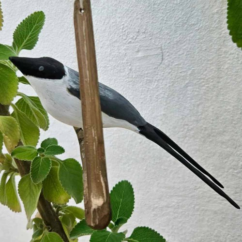 Pássaro de Madeira Tesourinha