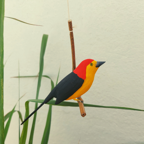 Pássaro de Madeira Rabo de Arame