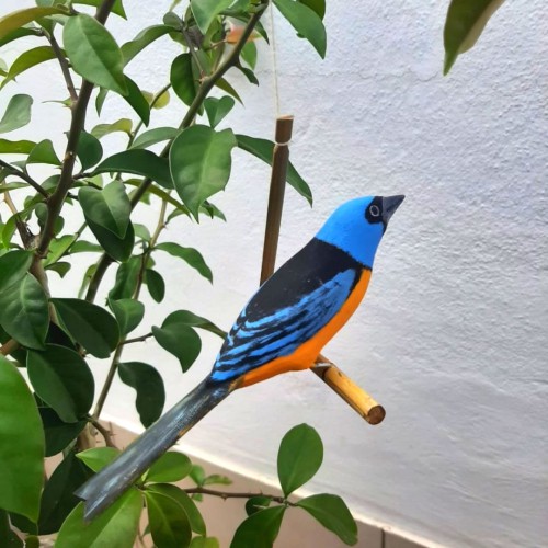 Pássaro de Madeira Sanhaço Papa-Laranja